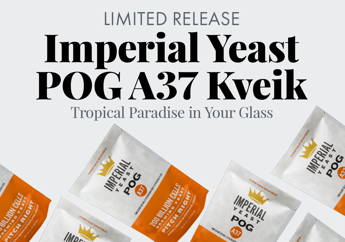 Limited Release POG A37 Kveik Yeast