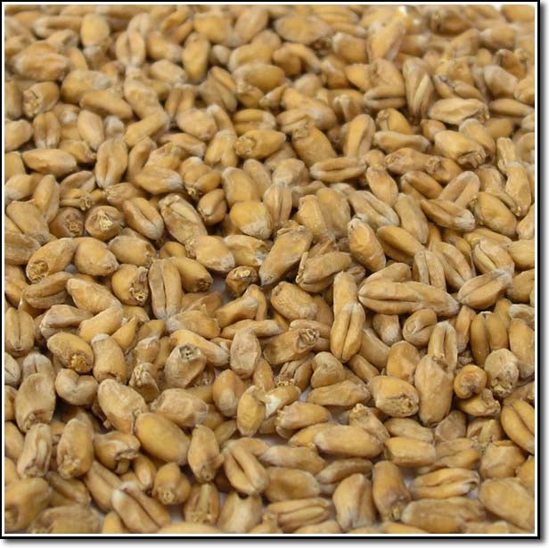 Weyermann Pale Wheat Malted Grain
