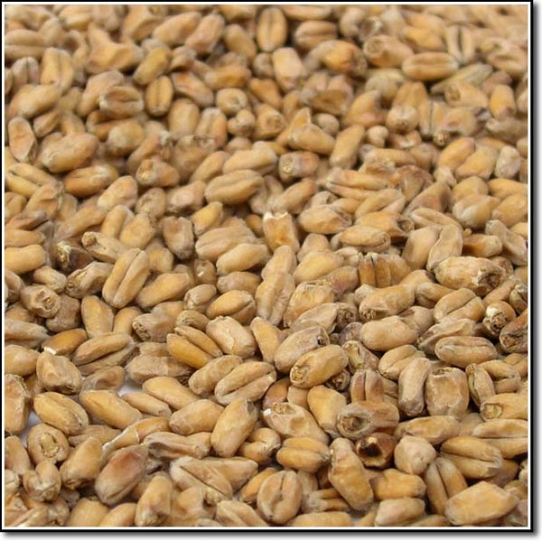 Weyermann® Dark Wheat Malted Grain