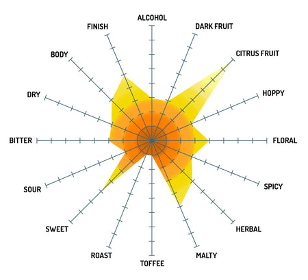 Summer Squeeze Lemon Shandy Tasting Radar