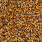Close-up of Simpsons DRC™ Malt