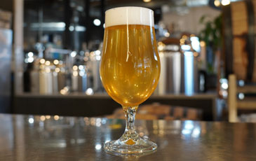 Glass of Italian Pilsner fermented with Trebbiano wine must