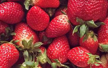 Strawberry Wine Recipe