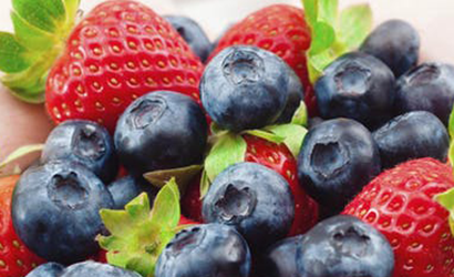 Fruit Wine Making Equipment List