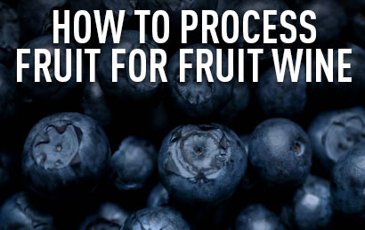 Blueberries with text: How To Process Fruit For Fruit Wine