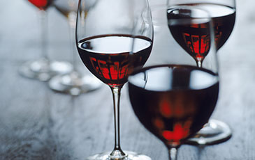 Wine Making Glossary