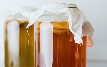 How to make Kombucha at Home