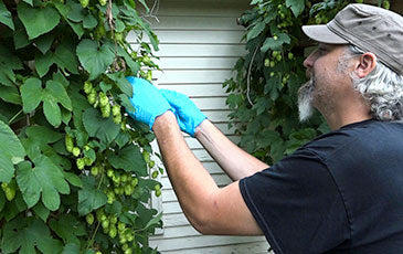 How to Use Your Own Hops