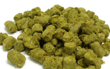 Close up of pellet hops