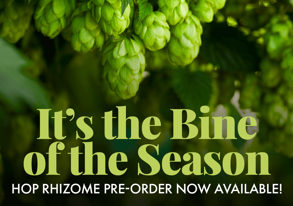 Green hops with text overlay 'It's the Bine of the Season' and 'Hop Rhizome Pre-order Now Available!'.