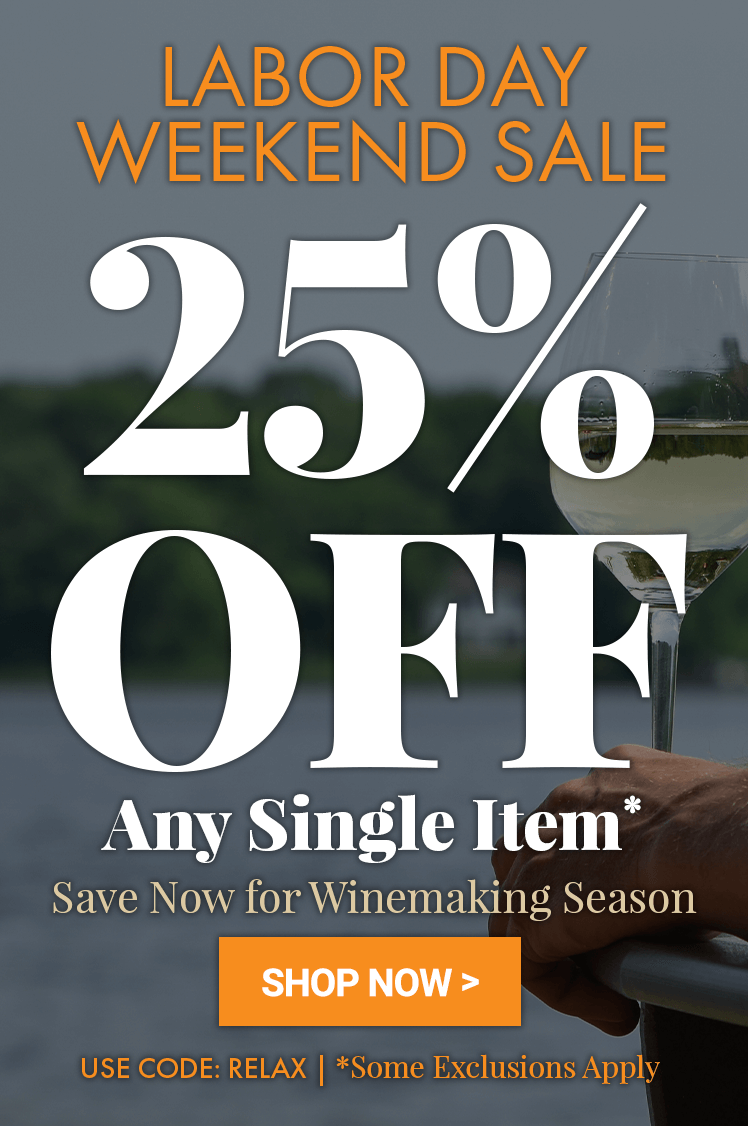 Promotional banner for a Labor Day weekend sale with 25% off any single item, featuring a person holding a wine glass.