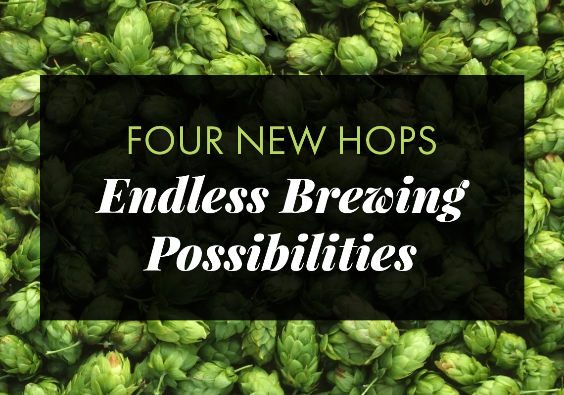 Text 'Four New Hops: Endless Brewing Possibilities' over a background of green hops.