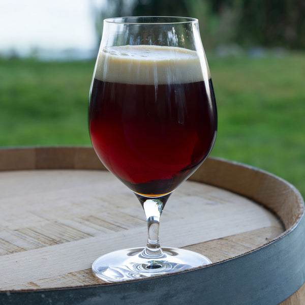 Glass filled with Sasquatch Barleywine on a white background