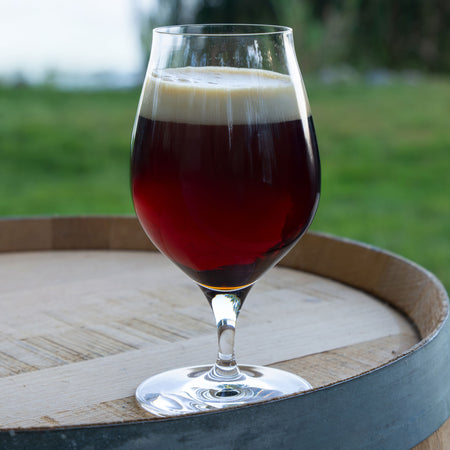 Glass filled with Sasquatch Barleywine on a white background