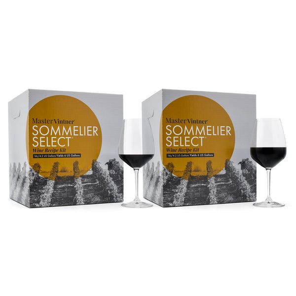Two Master Vintner Sommelier Select boxes with red wine glasses – Chillin’ in Chile Two Pack
