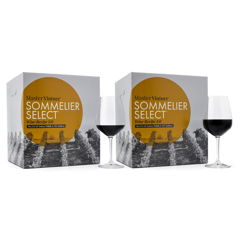 Two Master Vintner Sommelier Select boxes with red wine glasses – Chillin’ in Chile Two Pack