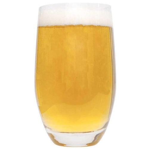 Table Talk Belgian Ale low-ABV beer in a tulip glass with foamy head