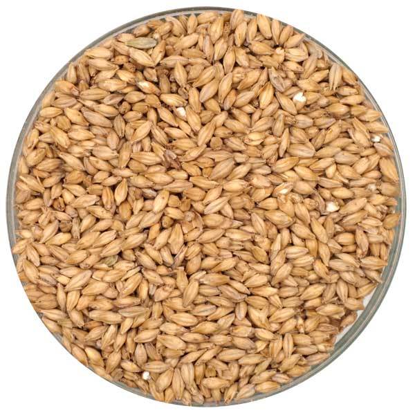 Mexican 2-row malt in a bowl.