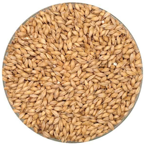 French Pilsen Malt in a bowl.