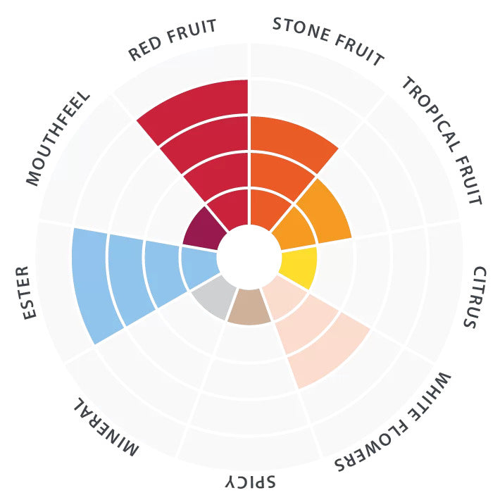 Lalvin K1-V1116 Wine Yeast | Whites, Fruit Wines & Mead – Midwest