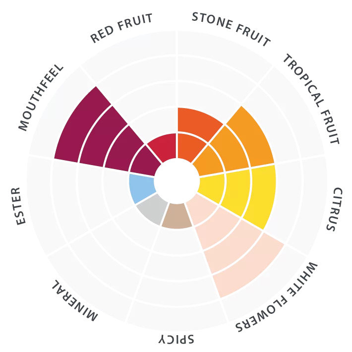 Tasting radar with flavor descriptors for D47 Wine Yeast