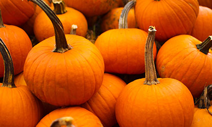 Adding Pumpkin to Beer