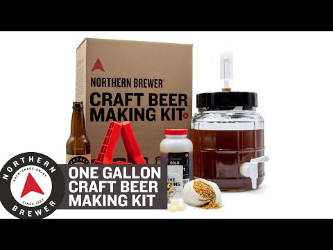 Craft Beer Making Kit With Siphonless Fermenter - 1 Gallon