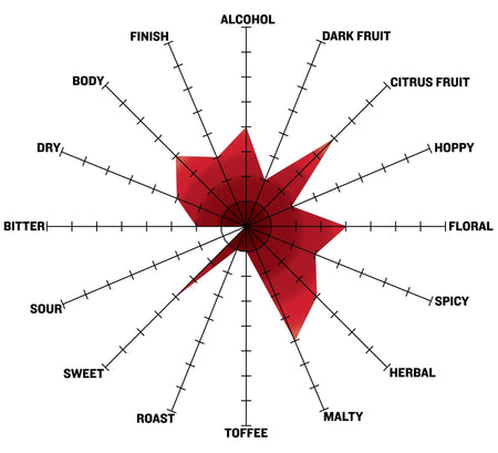 Blue Loon White Ale Extract Recipe Kit Tasting spider graph