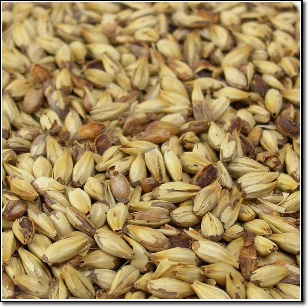 Detail-view of Briess Caramel Malt