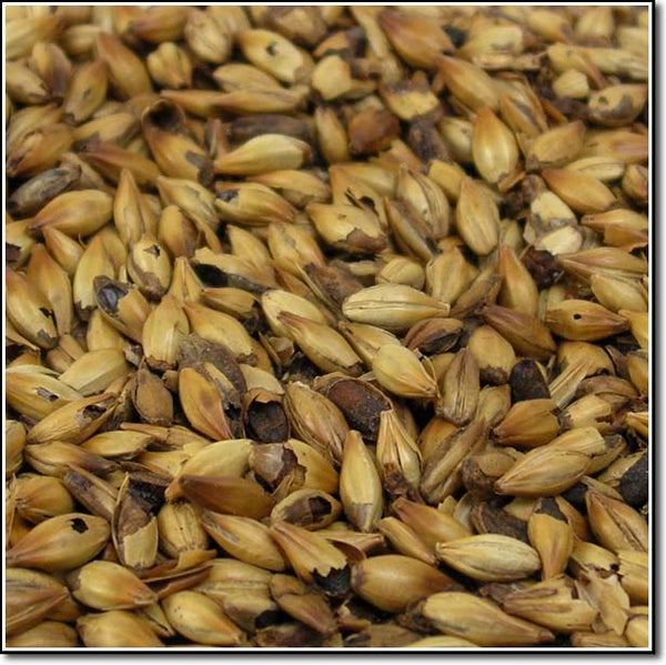 Close-up of Dingemans Special B® Malt