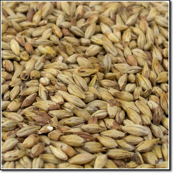 Close-up of Dingemans Biscuit® Malt