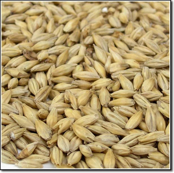 Close-up of Weyermann Carafoam Malted Grain