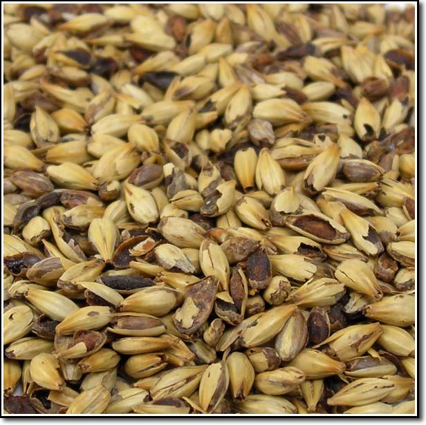 Briess Caramel Malt in a detailed view