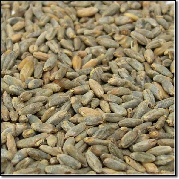 Weyermann® Rye Malted Grain