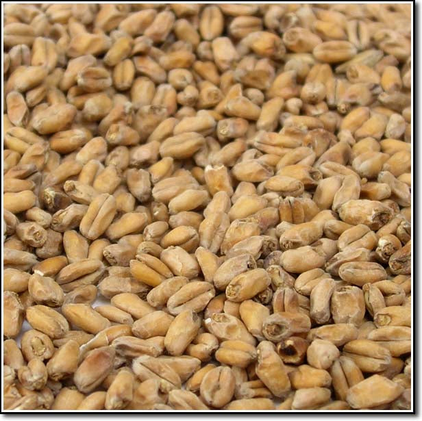 Weyermann® Dark Wheat Malted Grain