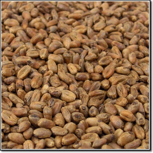 Close-up of Weyermann CaraWheat Malted Grain