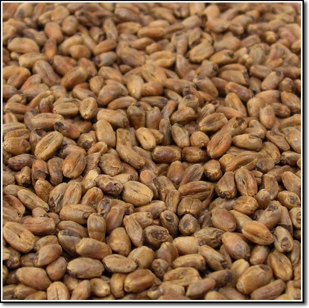 Close-up of Weyermann CaraWheat Malted Grain