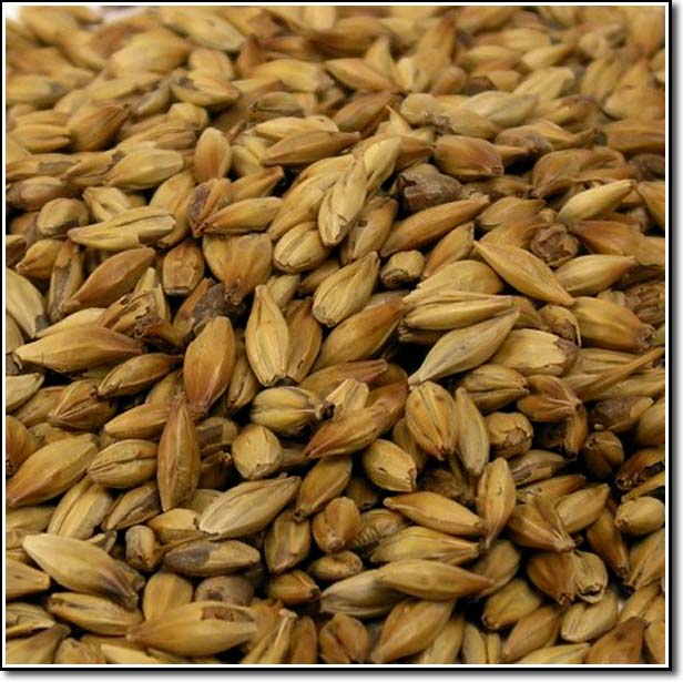 Detail-view of Weyermann® Caramunich® I Malted Grain
