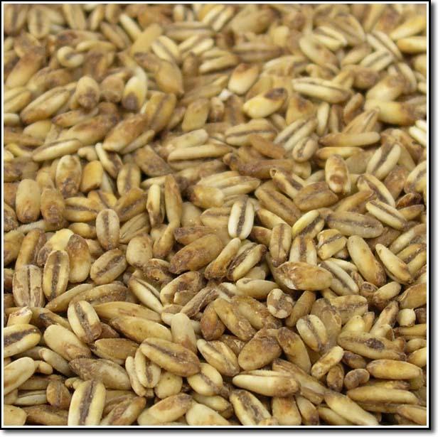 Close-up view of Briess Blonde RoastOatt malt