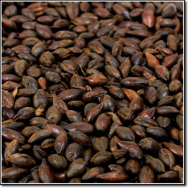 Close-up of Weyermann Dehusked Carafa III Malted Grain