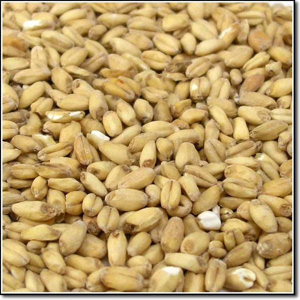 Detail-view of Rahr White Wheat