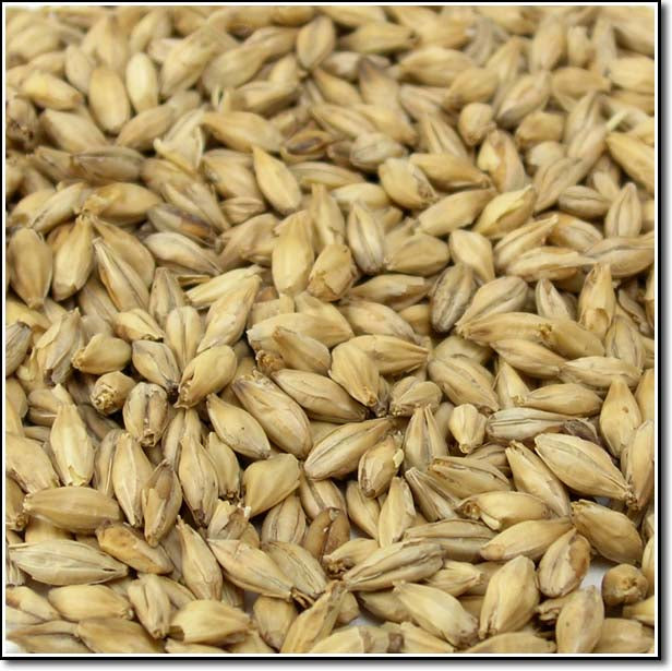 Close-up of Weyermann® Smoked Malted Grain