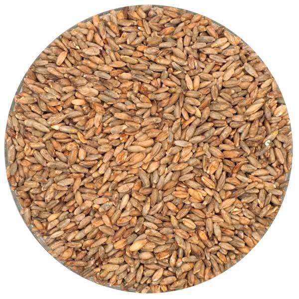 Detail view of Briess Rye Malt