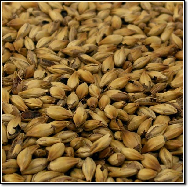 Detail-view of Weyermann® Caramunich® II Malted Grain