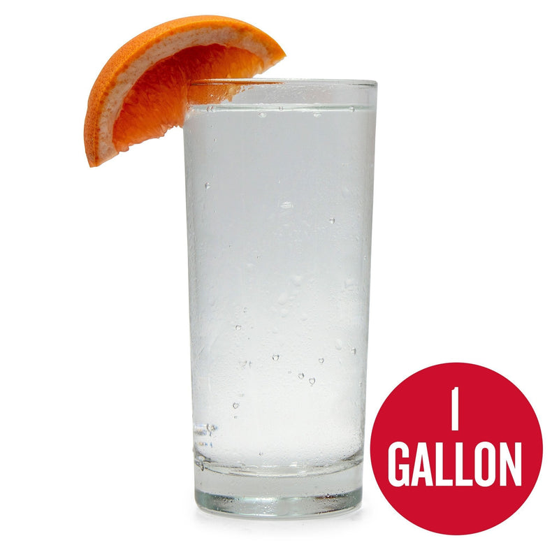 1-Gallon Grapefruit Hard Seltzer homebrew in a glass with a grapefruit wedge. A red circle in the bottom contains the words "1-gallon"