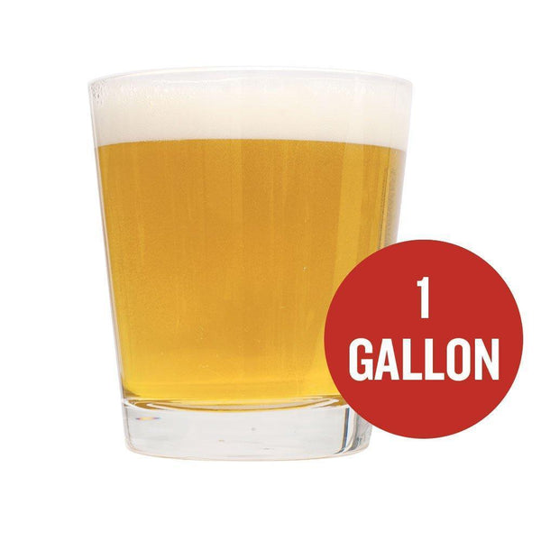 Cream Ale homebrew in a glass with "1 Gallon" written in a red circle
