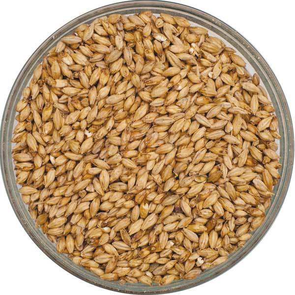 Bowl of Canada Malting Pale Ale Malt