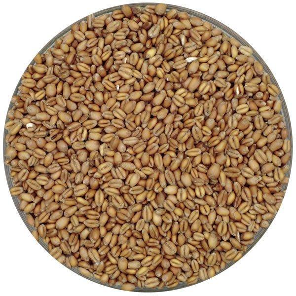 Display bowl filled with Weyermann Oak-Smoked Pale Wheat Malt