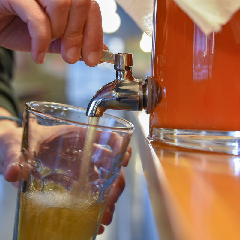 Someone pouring kombucha out of a fermentor using the spigot