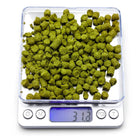 Northern Brewer Brewing scale with 31.2 grams of hops